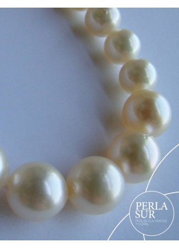 Hilo Disminución 6-10mm Perlas Akoya