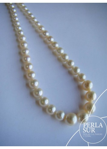 Hilo Disminución 6-10mm Perlas Akoya