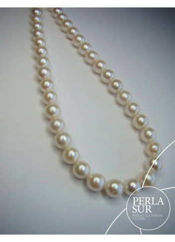 Necklace 8´5-9 mm Choker Akoya Pearls