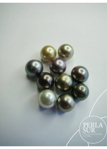 Perla 9-9'5mm Redonda Tahití