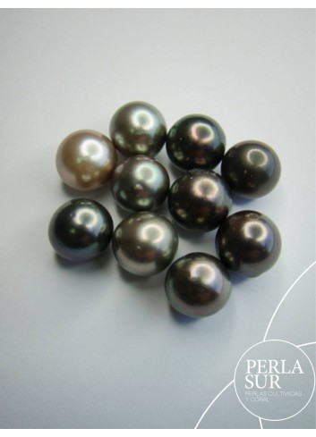 Perla 11-11'5mm Semiredonda Tahití