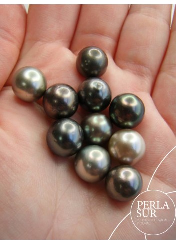 Perla 11-11'5mm Semiredonda Tahití