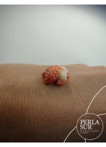 Estrella de mar Coral Japonés