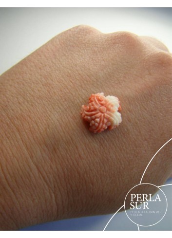 Estrella de mar Coral Japonés