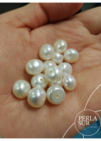 Perla 11'5-12mm Botón 1/2t blanca