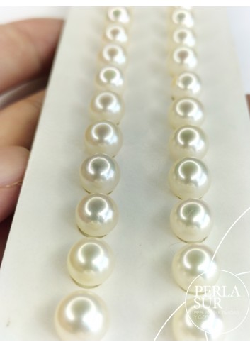 030119-Pair 7-7´5 mm 3/4  Akoya Pearls
