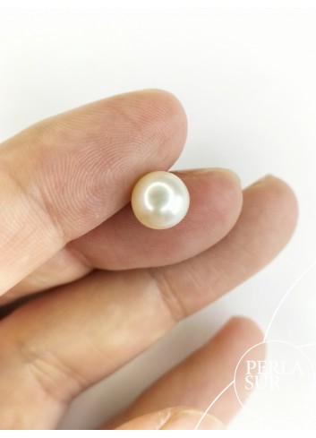 030119-Pair 7-7´5 mm 3/4  Akoya Pearls
