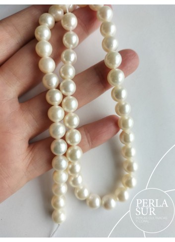 Necklace 8-8´5 mm Round Akoya Pearls