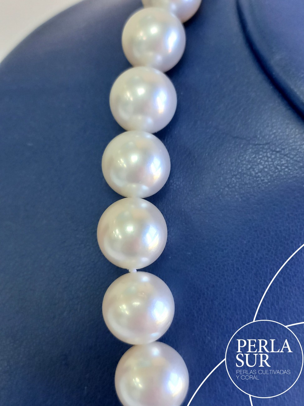 Collar perla australiana R 12 a 15'6mm 35p 45cm
