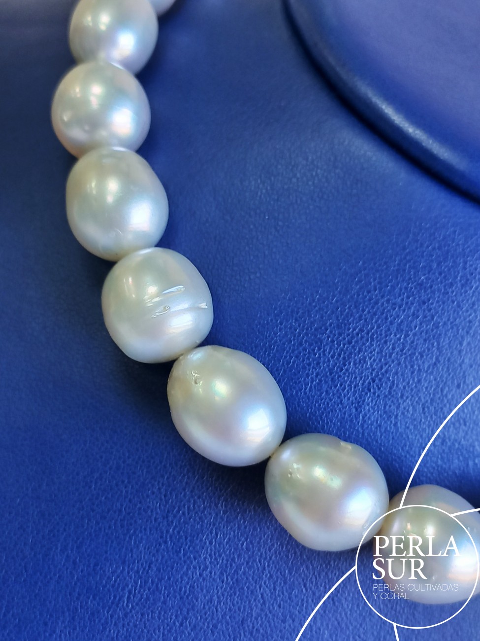 Collar perla australiana SR 10 a 14mm 31p 42'5cm