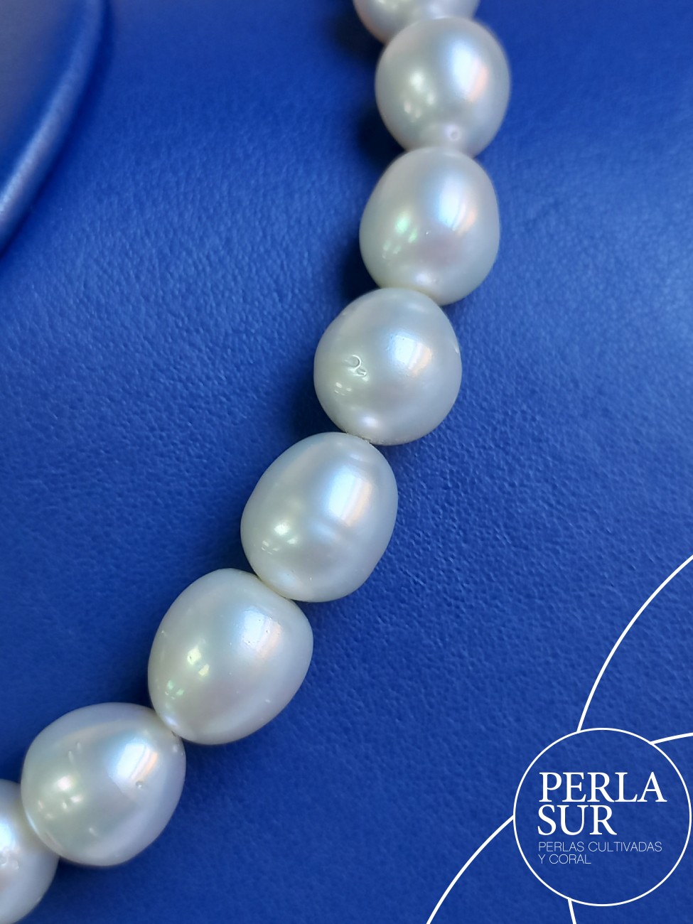 Collar perla australiana SR 10 a 14mm 31p 42'5cm