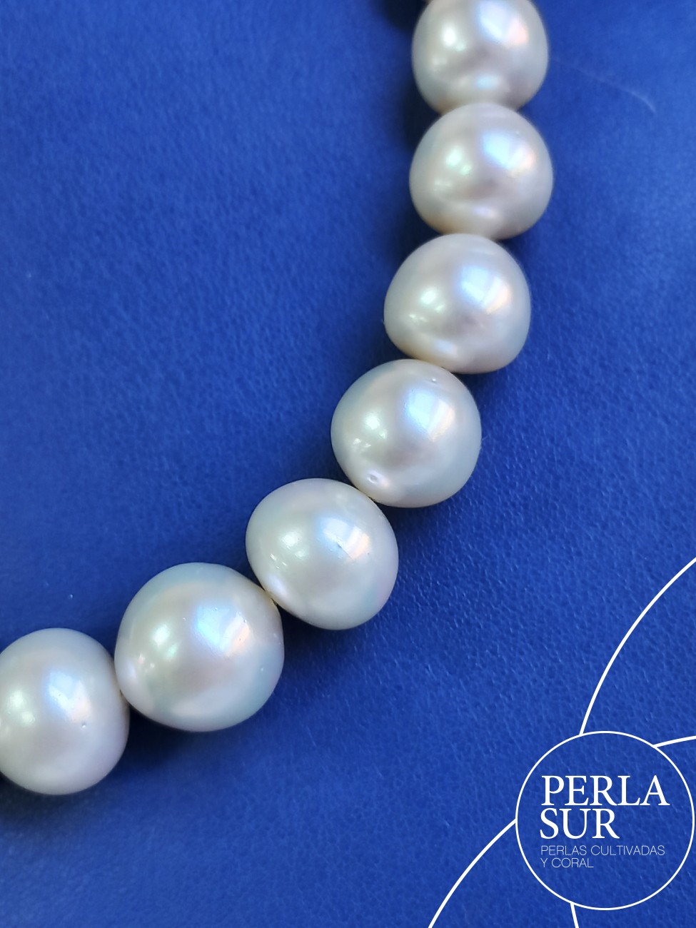 Collar perla australiana SR 11'1 a 14'9mm 37p 43'5cm