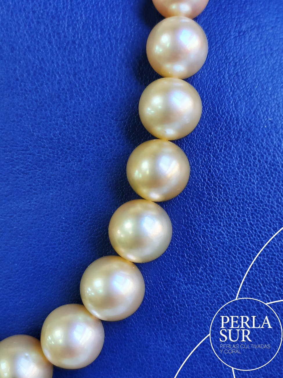 Collar Golden 9x12mm Redondo
