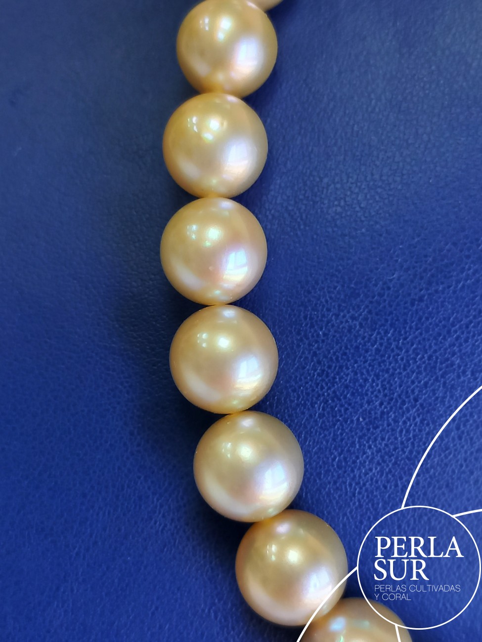 Collar Golden 9x12mm Redondo