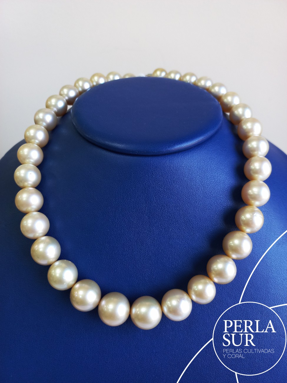 Collar Golden 11x14mm Redondo