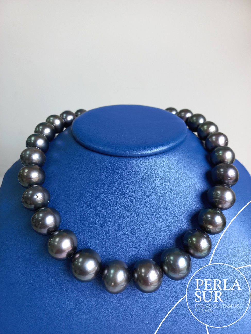 Collar Tahití 15x17'50mm Extra Grande