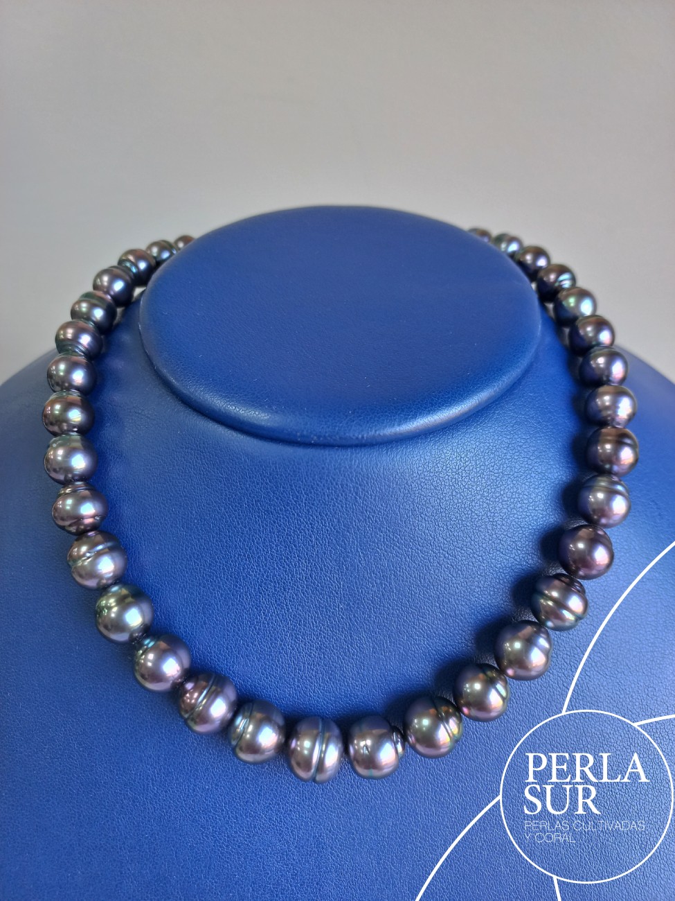 Collar Tahití 8x10'7mm Circulo Berenjena