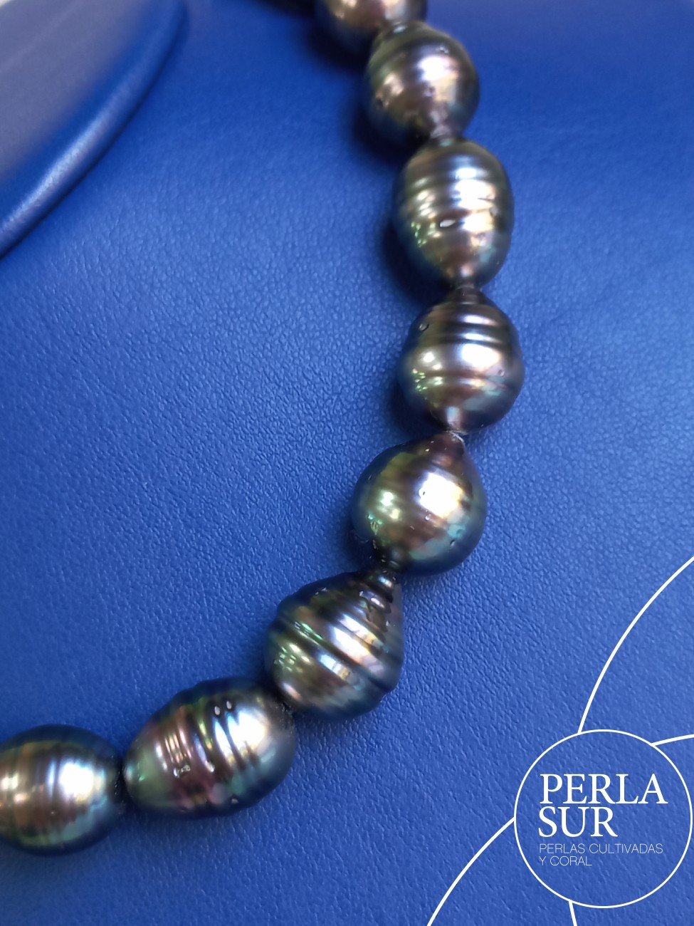 Collar Tahití 12x14'3mm Barroca Perilla Círculos