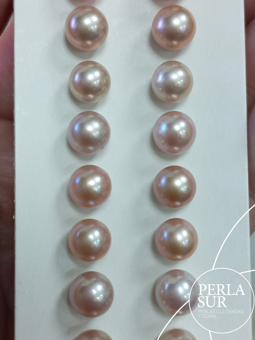 Pareja perla 1/2t 8-8'5mm Lila (CN)