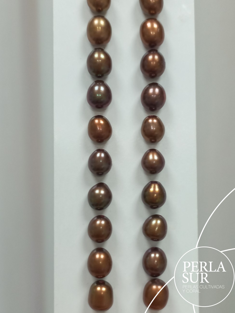 Pareja Perla 7-7'5mm Chocolate 1/2T. Oval
