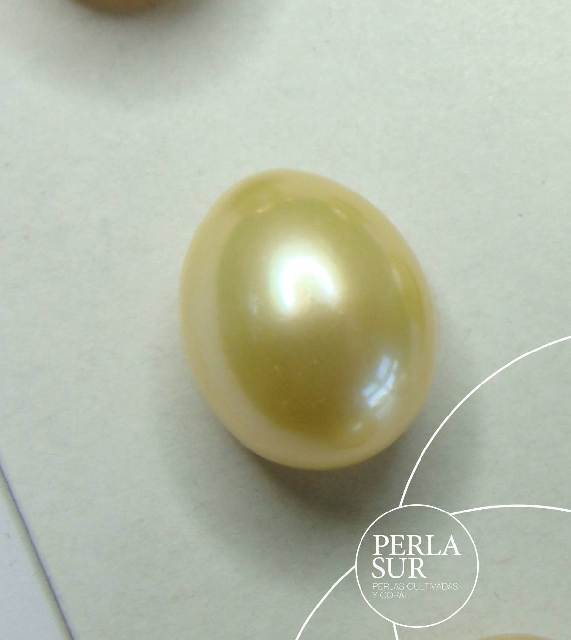 Pareja Perla 10mm Oval sin Taladro Golden