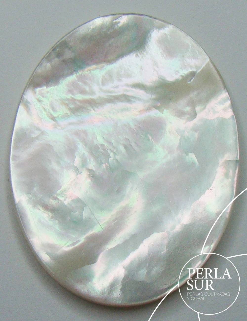 Agnes 12x16mm Camafeo Nácar Australiana