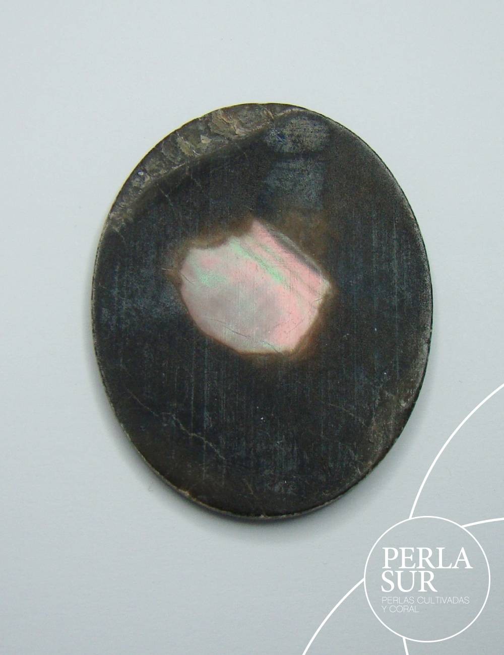 Adela 40x30mm Camafeo Nácar Tahití