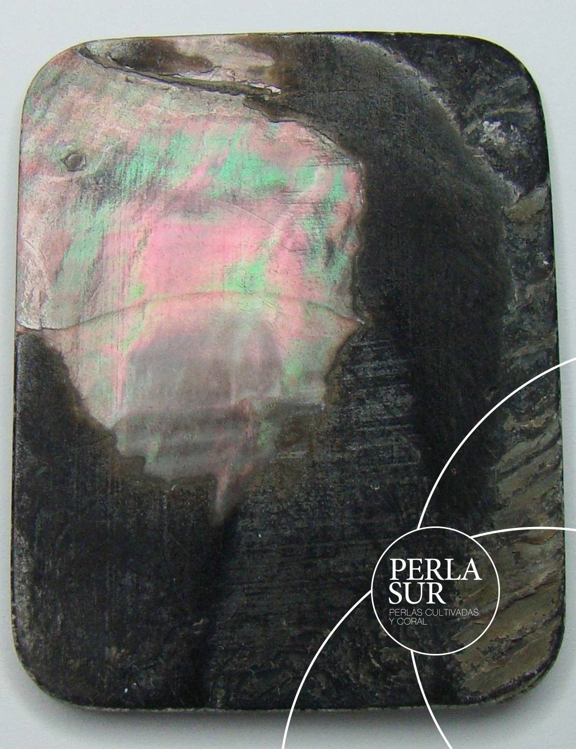 Square 35x45mm Camafeo Tahití