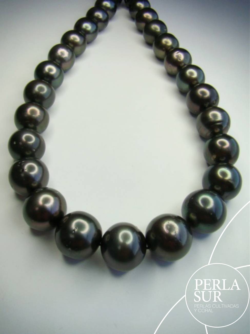 Collar Tahití 15x17'50mm Extra Grande