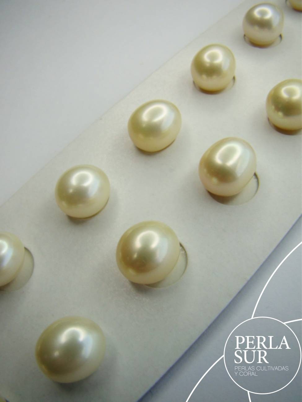 Pareja Perla 10mm Oval sin Taladro Golden