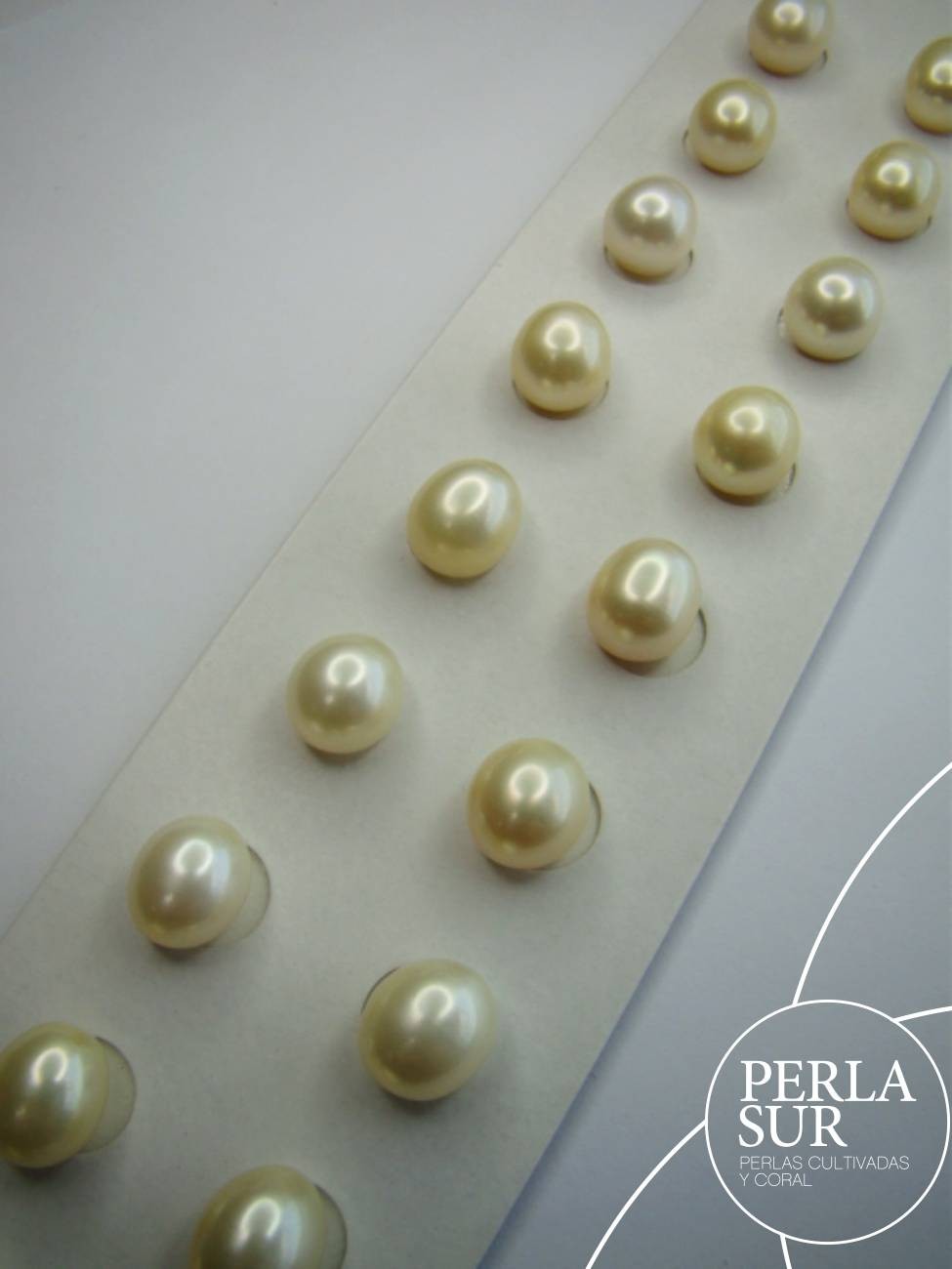 Pareja Perla 10mm Oval sin Taladro Golden