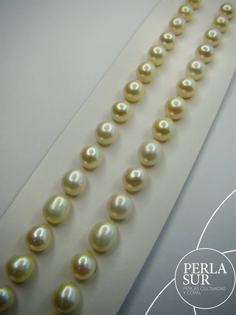 Pareja Perla 7-7'5mm Golden 1/2T.Oval