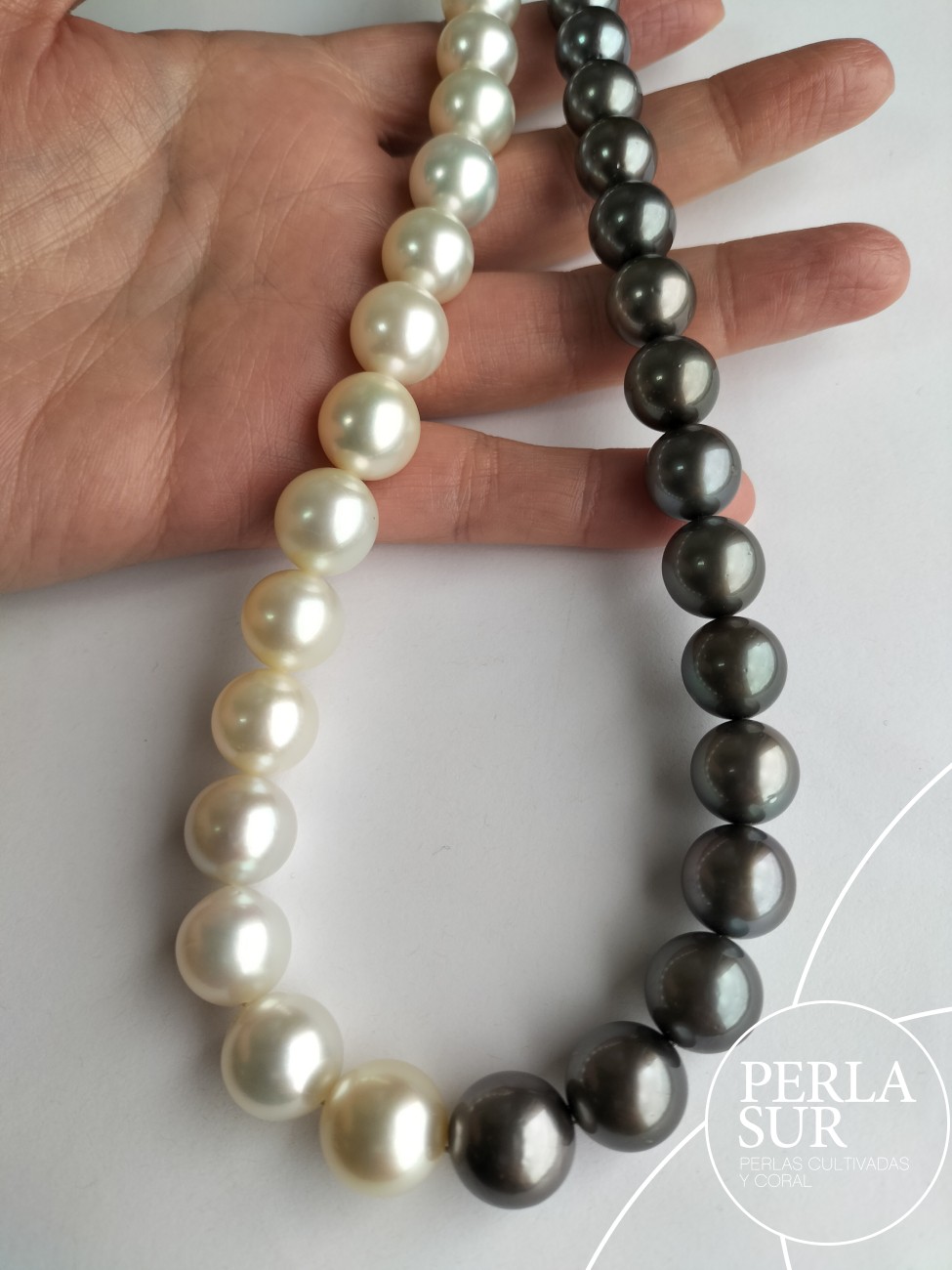 Collar perla A+T 12 a 14mm Bicolor 33p 41cm