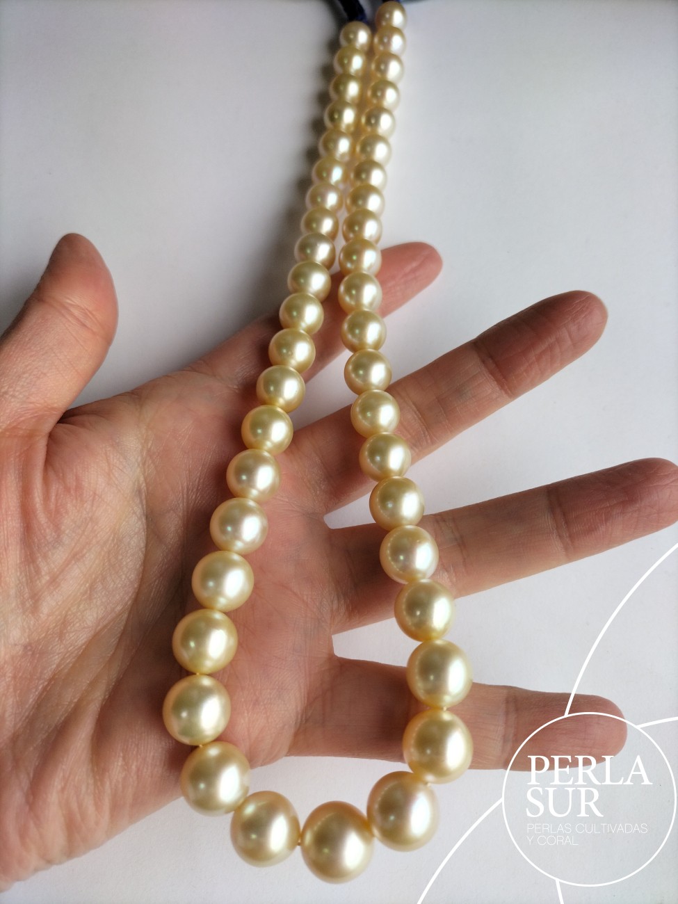 Collar Golden 9x12mm Redondo
