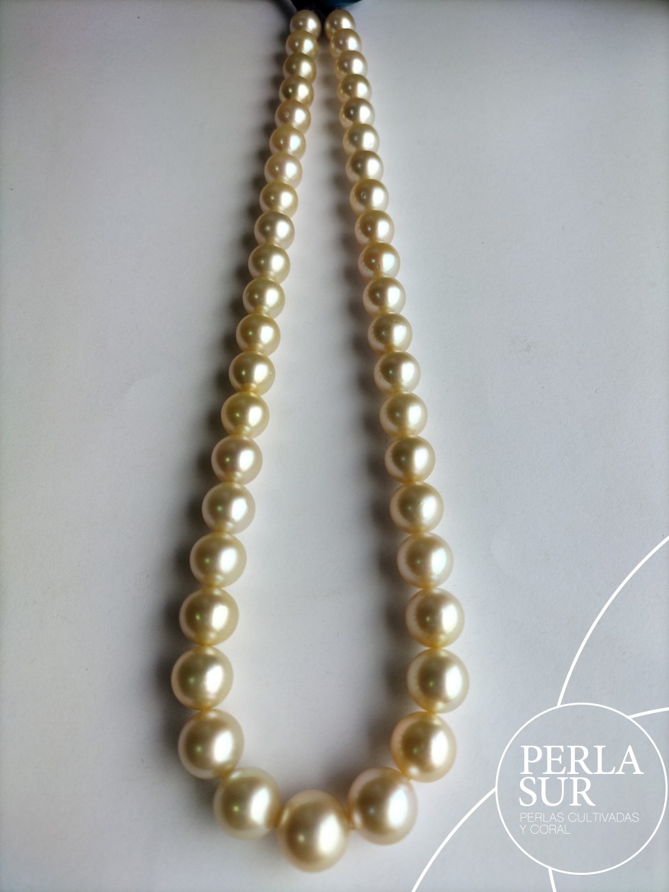 Collar Golden 9x12mm Redondo