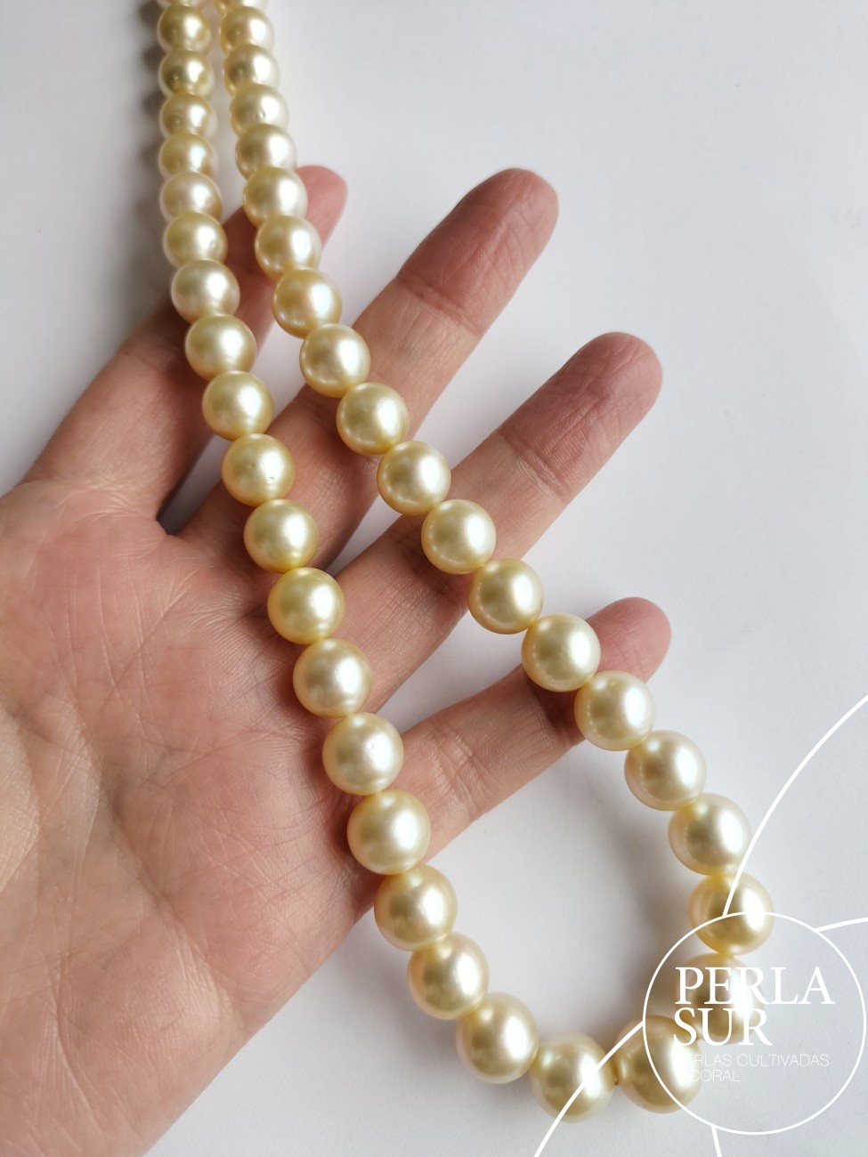 Collar Golden 9x12mm Redondo