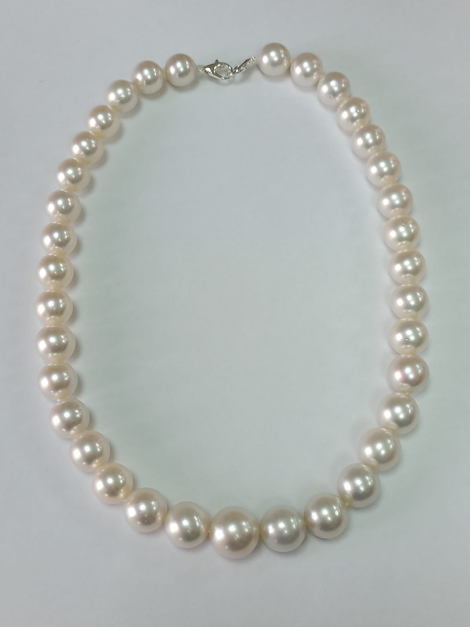 Collar perla australiana R 12 a 15'6mm 35p 45cm