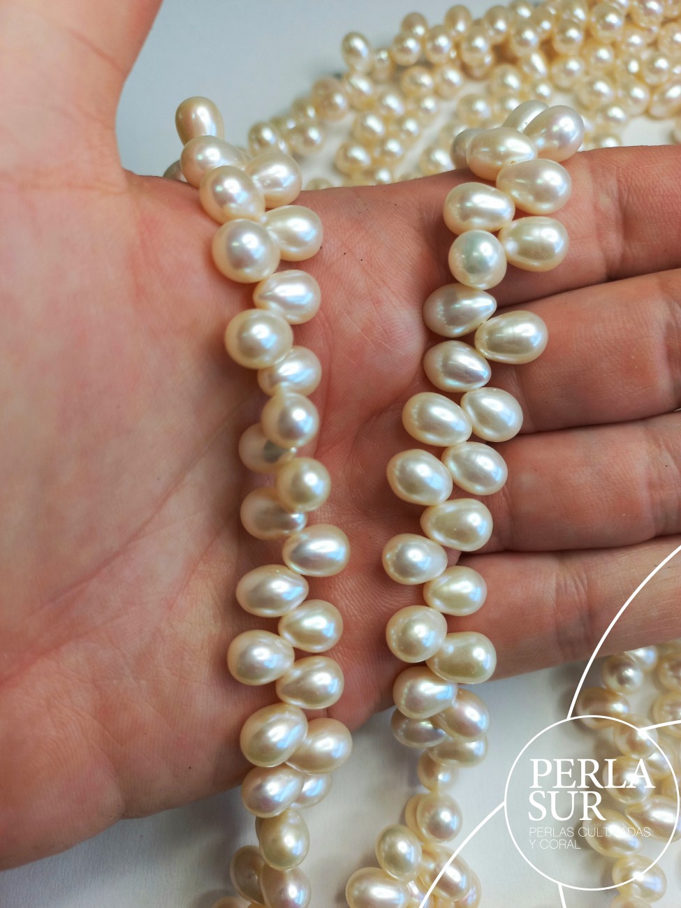 Hilo Perla Oval Cruzada 6-7mm Blanca