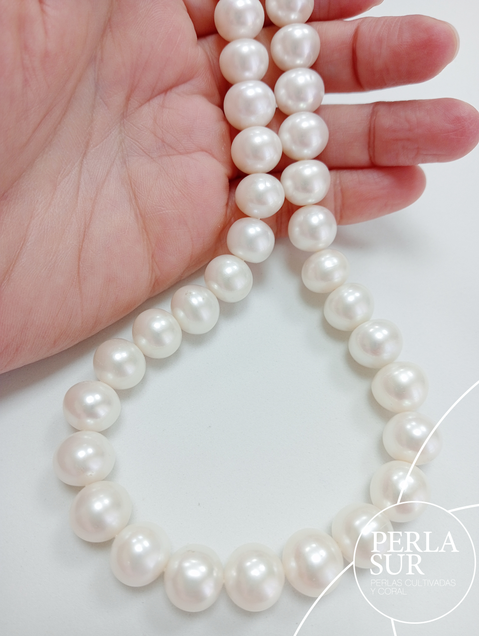 Hilo perla redonda 12-13mm blanca