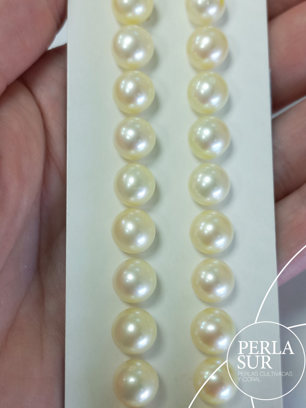 Pareja perla 1/2t 8'5-9mm Golden