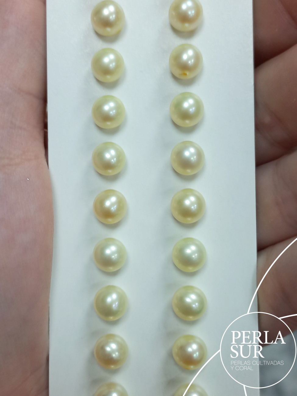 Pareja perla 1/2t 6'5-7mm Golden
