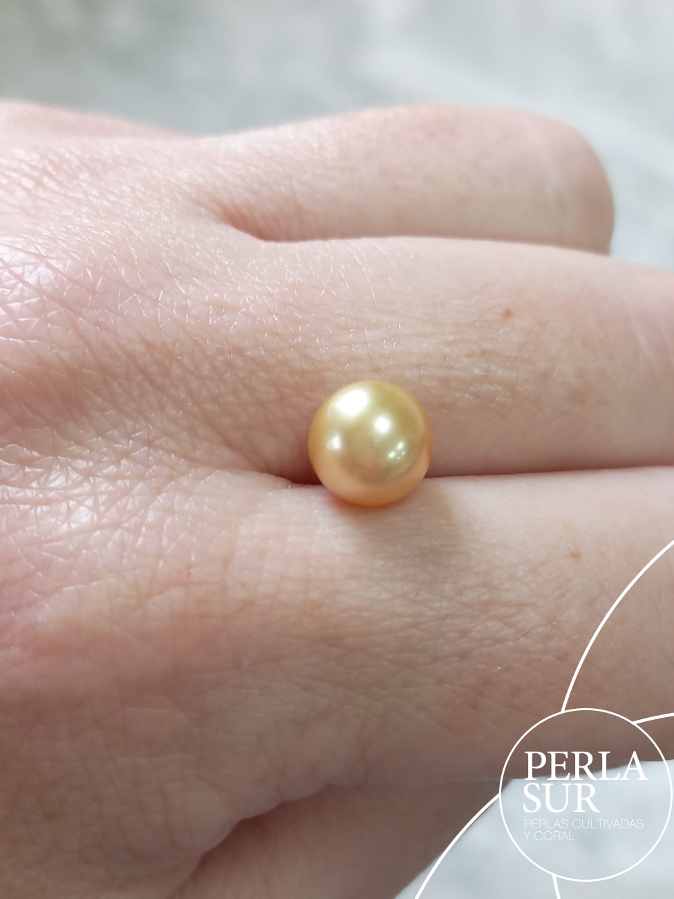 Perla Aus. 8'5-9mm nº1 Redonda Golden