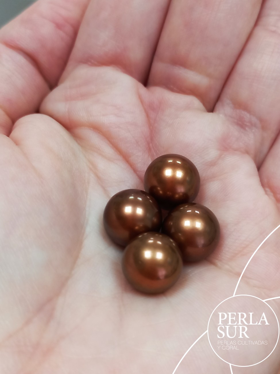 Par Aus. Redonda 11-11'5mm Chocolate