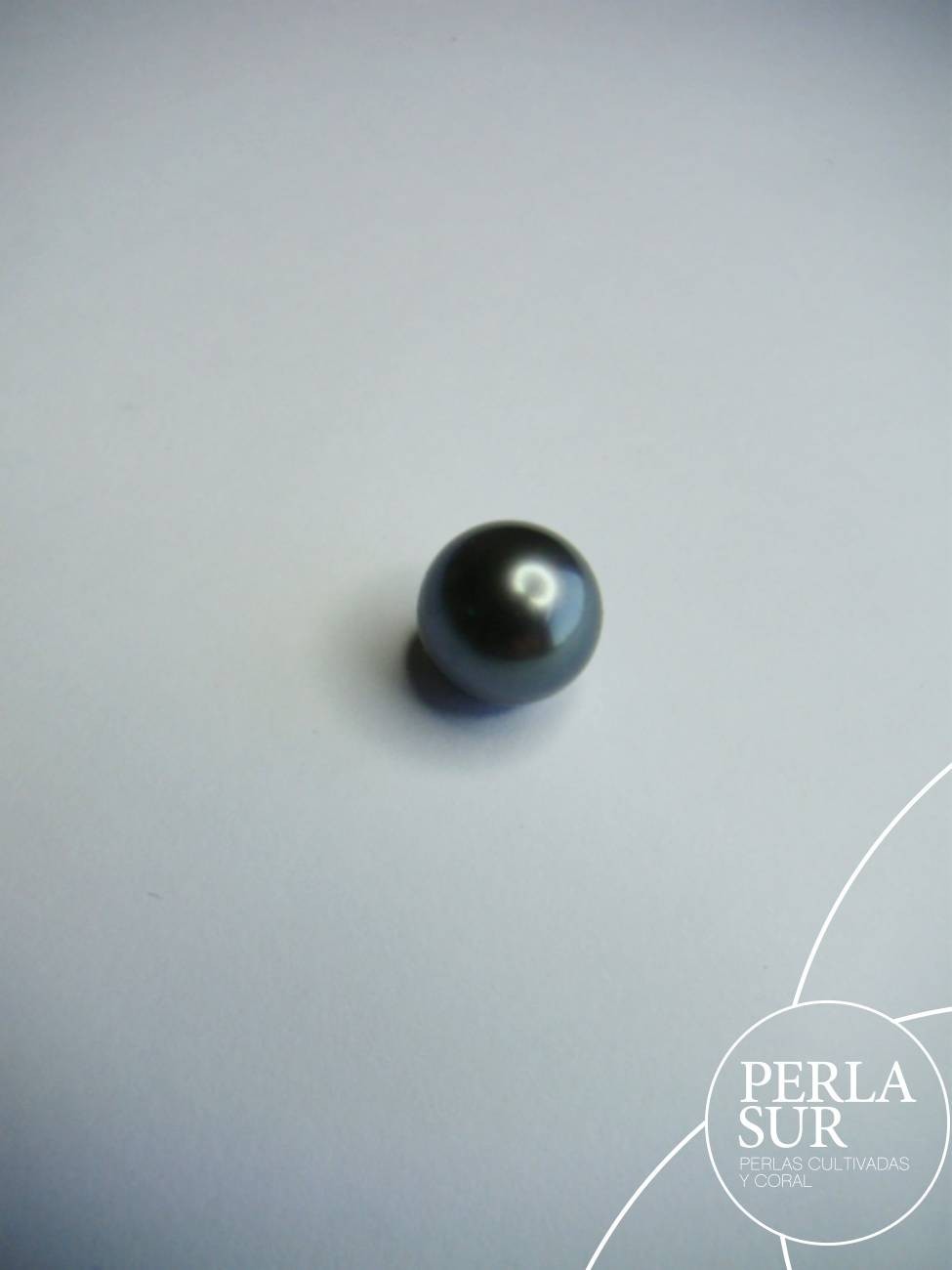 Perla 11-11'5mm Redonda Tahití