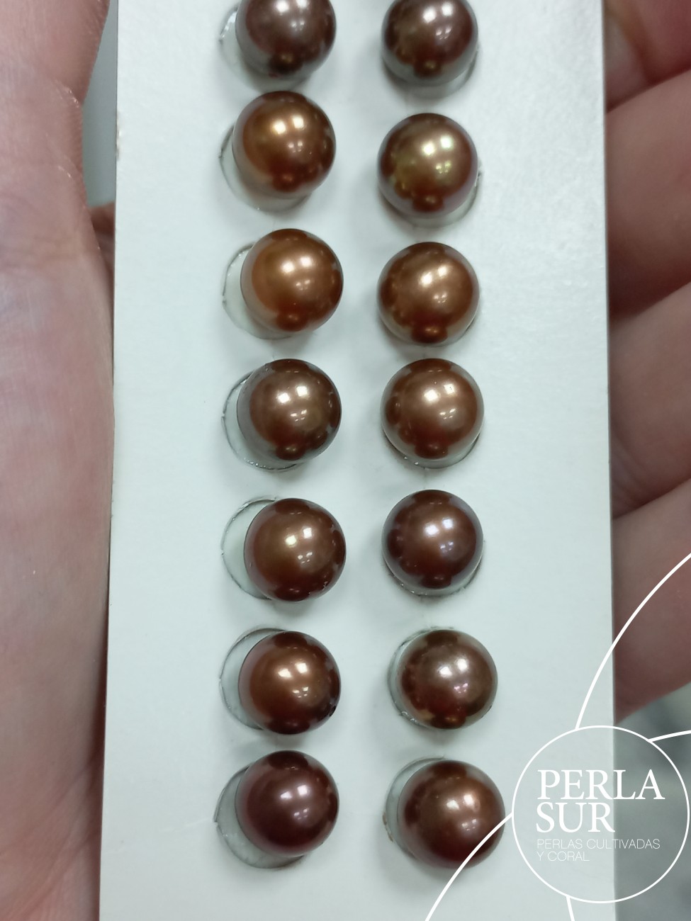 Pareja perla 1/2t 8'5-9mm Chocolate