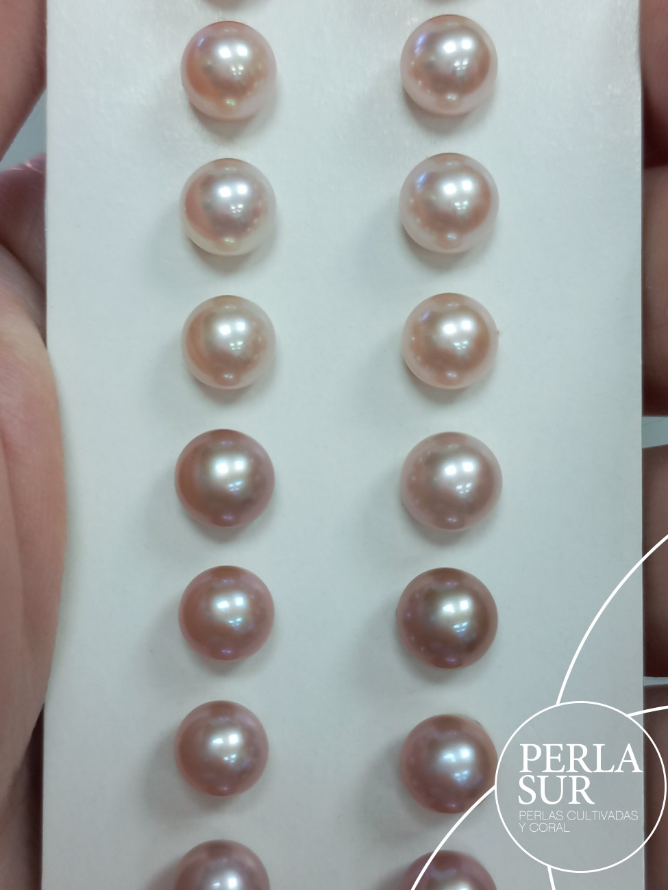 Pareja perla 1/2t 6-6'5mm Lila (CN)