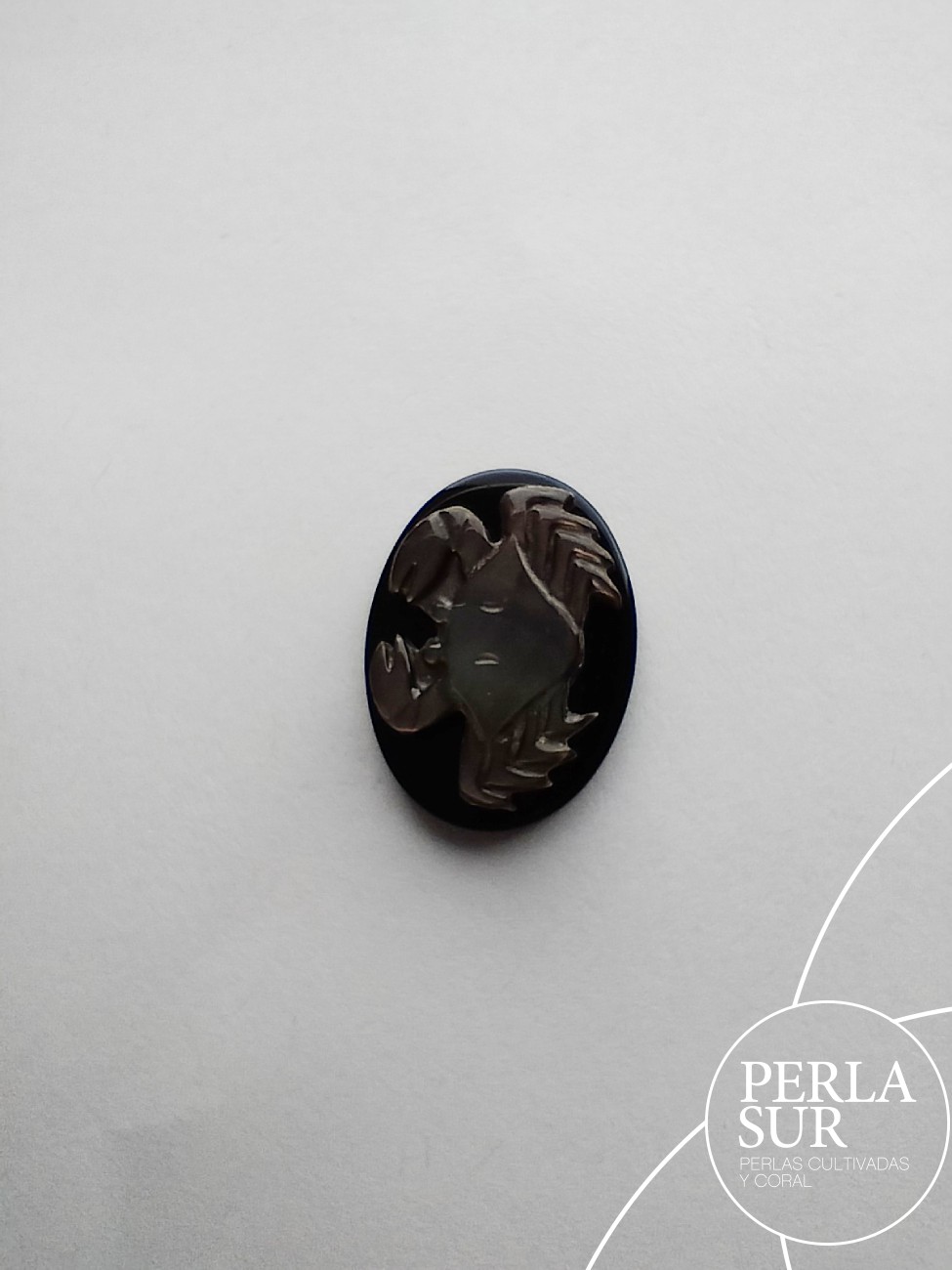 Cancer 15x20mm Ónix-Madreperla Tahití