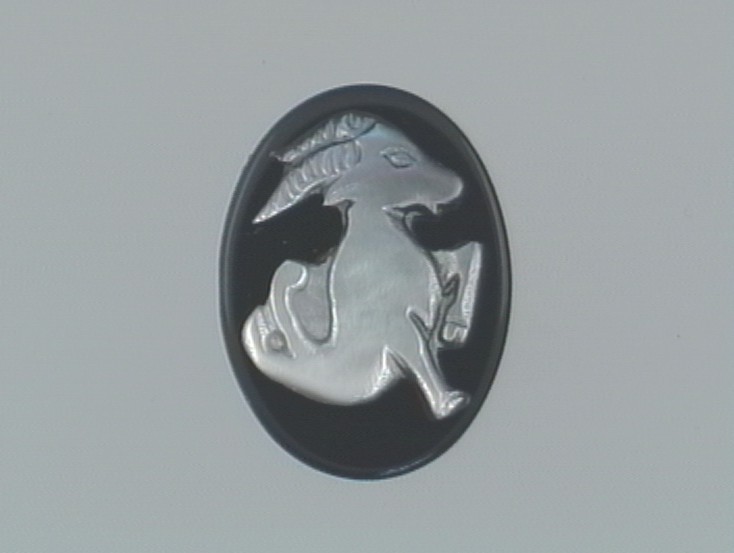 Capricornio 15X20mm Ónix-MOP Tahití