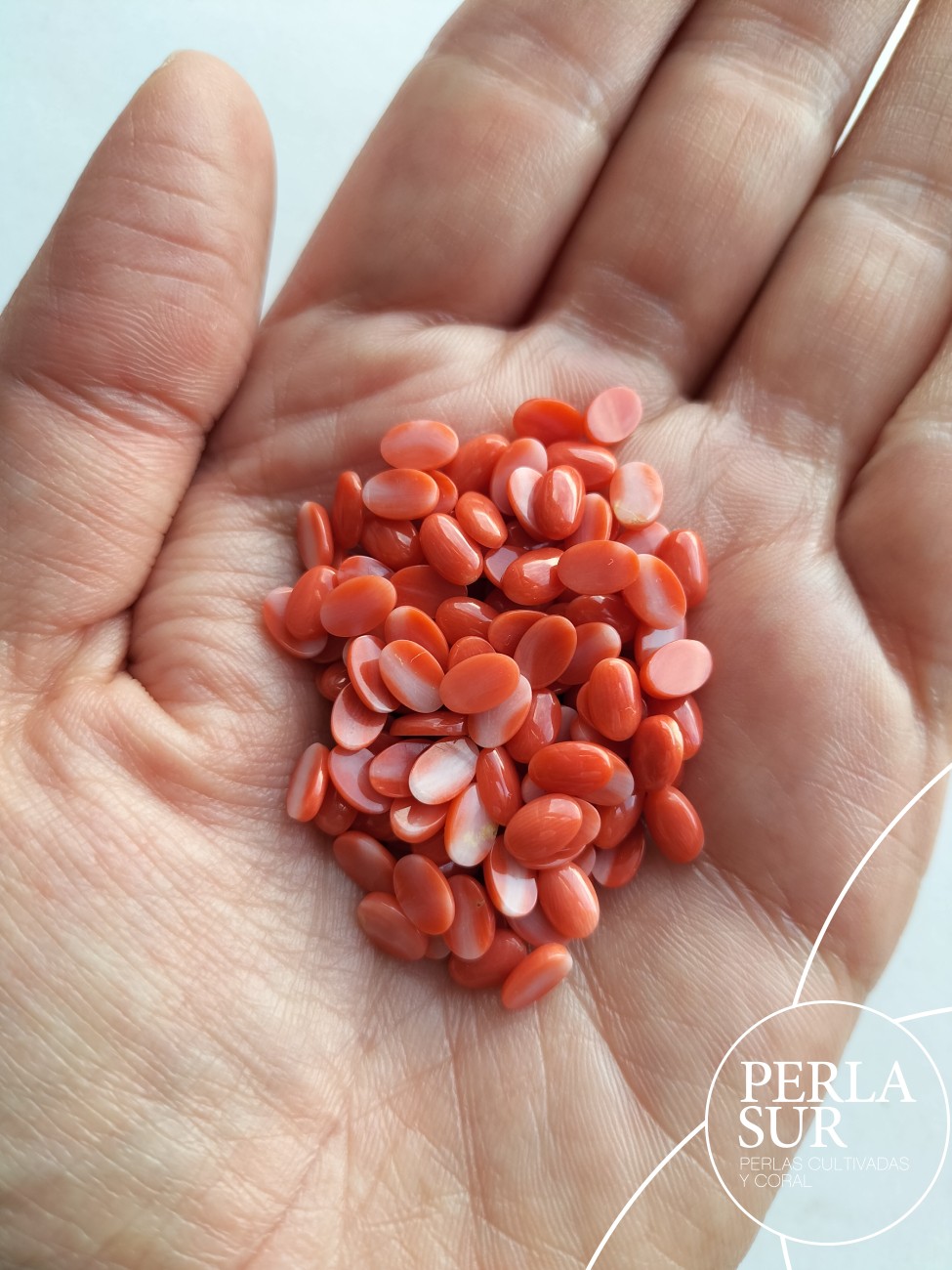 Cabujón 4x6mm Oval Coral Japonés