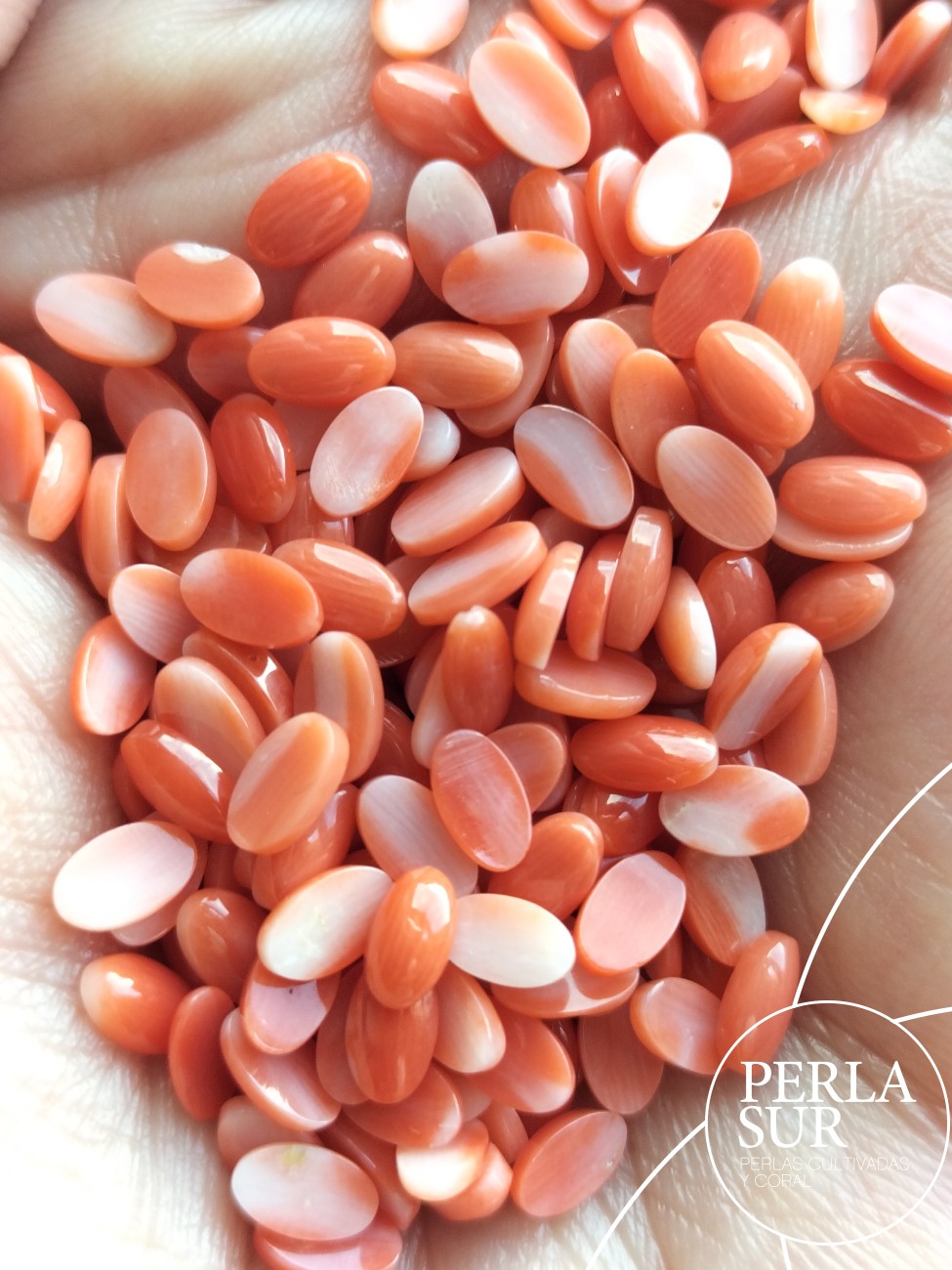 Cabujón 3x5mm Oval Coral Japonés